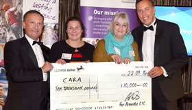 CARA wins a Provide Foundation Award